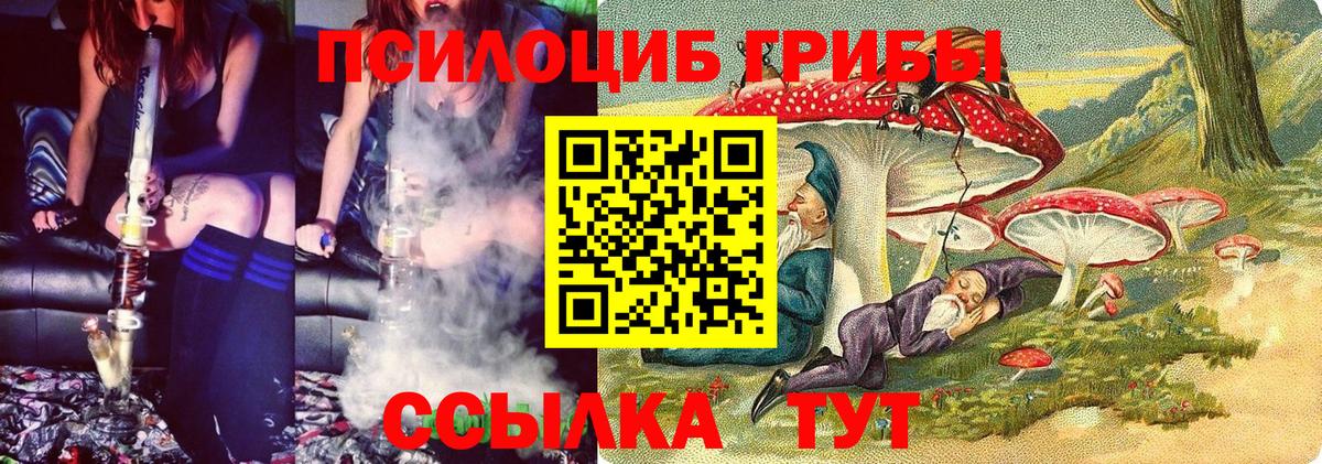 Псилоцибиновые грибы Psilocybe  Вход с VPN  Соль-Илецк 